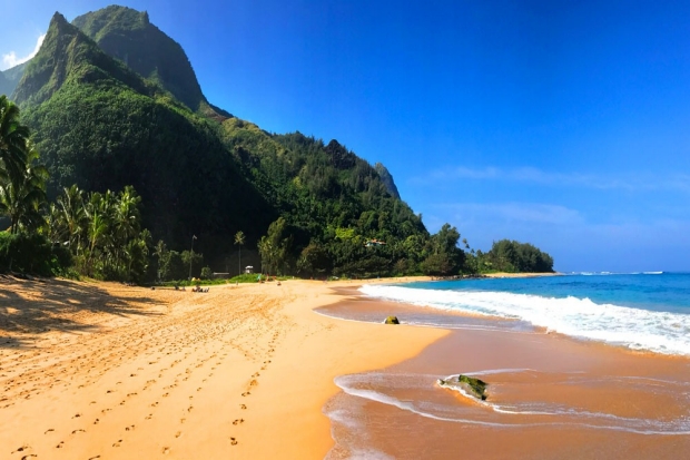 Photo: Hawaiian beach
