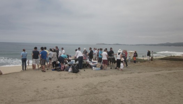 chen-lab-beach-day-2012-006