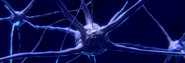 photo showing a neuron cell depictions