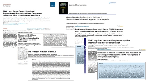 Реферат: Parkinsons Essay Research Paper Parkinson s DiseaseThe