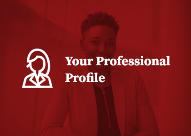 Professional Profile