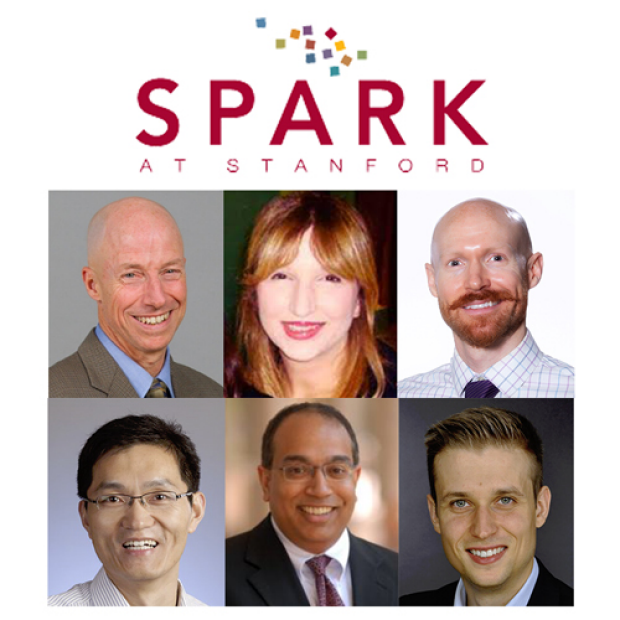 MCHRI-funded SPARK scholars