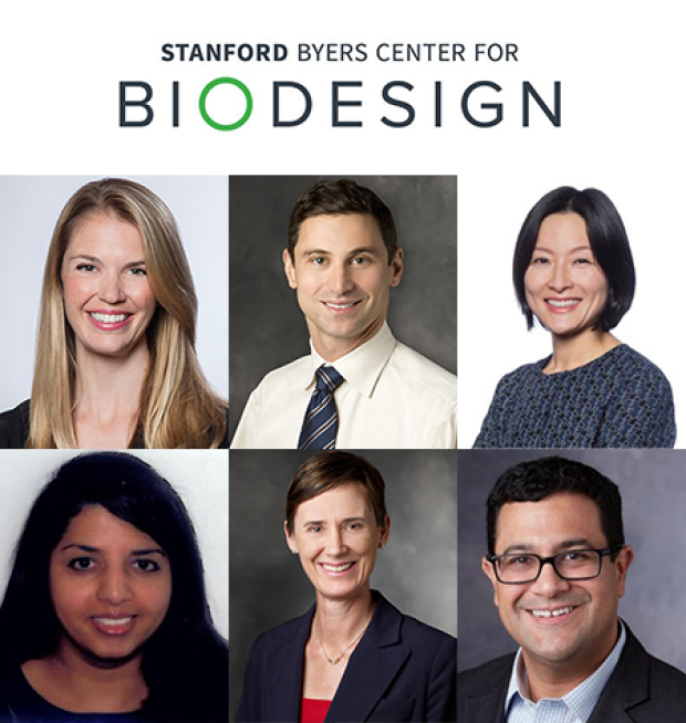 Biodesign Faculty Fellows