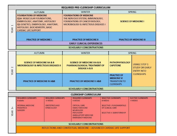 curriculum-schematic