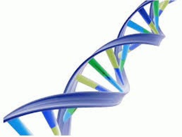 multicolored DNA strand