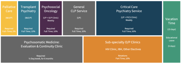 Critical Care Psychiatry (CCP) Fellows