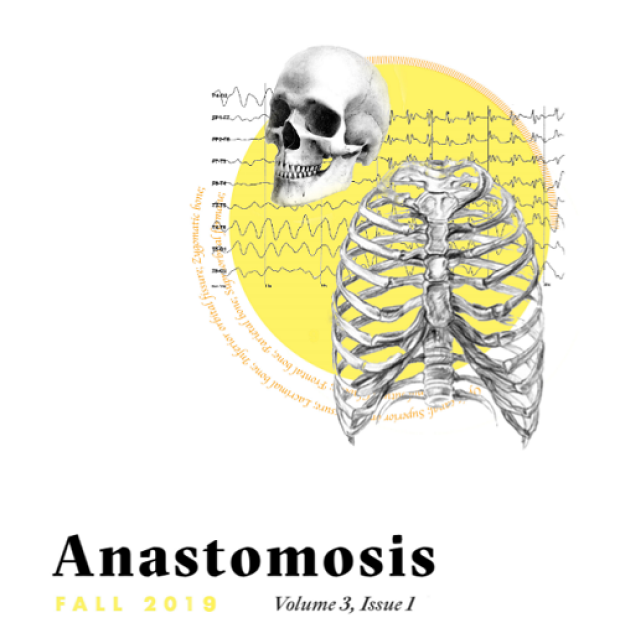 Fall 2019 Anastomosis
