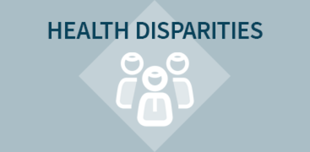 Graphic with an icon and text Health Disparities