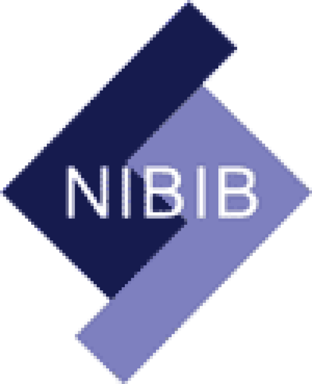 nibib_2008