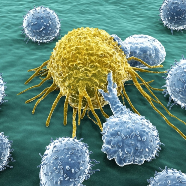 3D illustration of T cells attacking cancer