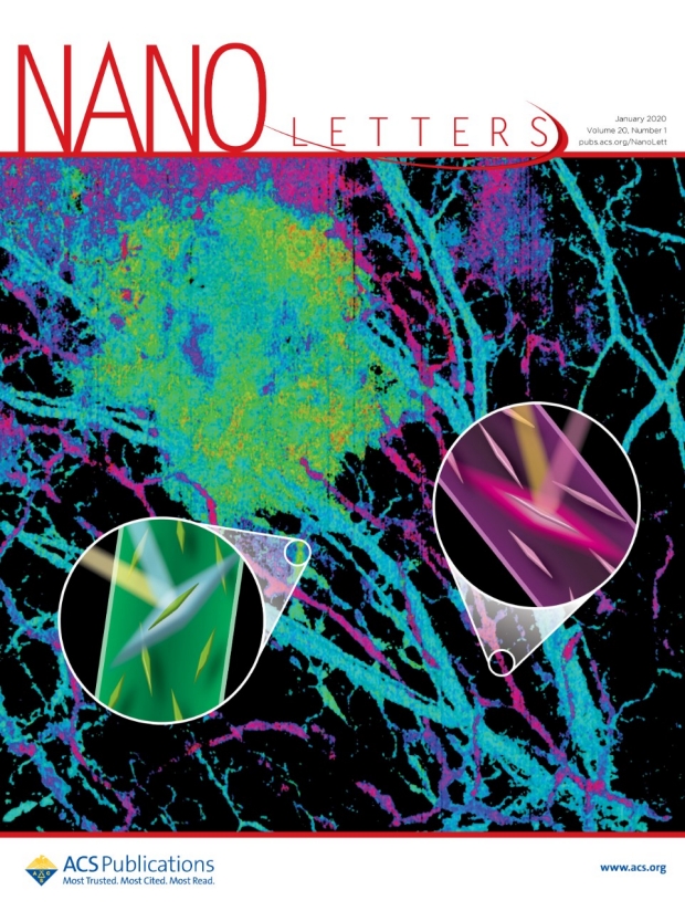 Cover of Nano Letters, volume 20, issue 1, January 8, 2020, depicting multiplex imaging with gold nanobipyramids