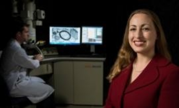 Michelle Monje and her colleagues found that the chemotherapy drug methotrexate can affect three major types of brain cells, resulting in a phenomenon known as "chemo brain." Steve Fisch