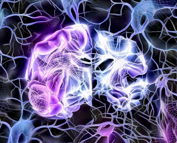abstract image of a brain, and neurons