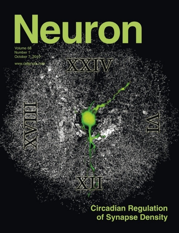 Neuron journal cover October 2010