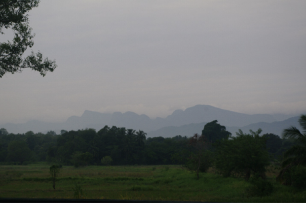 Knuckles mountain range, beyond which the epidemicarea lies