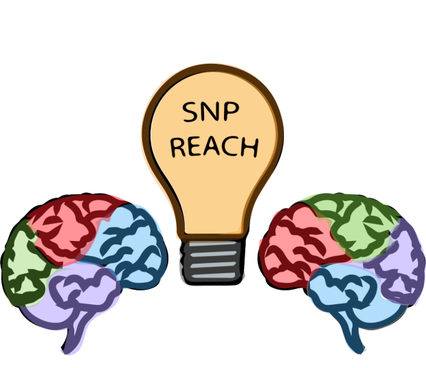 logo-SNP-REACH-2023