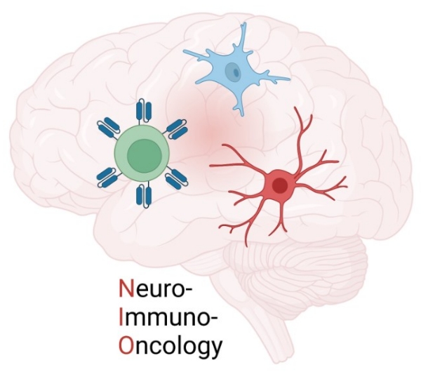 Stanford Multiple Sclerosis and Neuroimmunology Program
