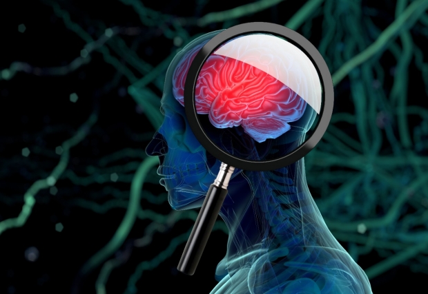 Adobe Stock Image, Brain magnifying glass, neurons in background