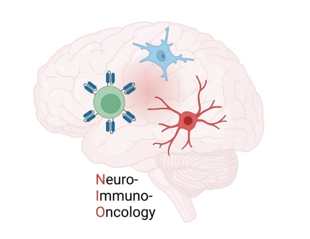 Neuro-immuno-oncology