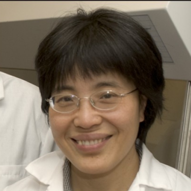 Yanmin Yang, MD, PhD
