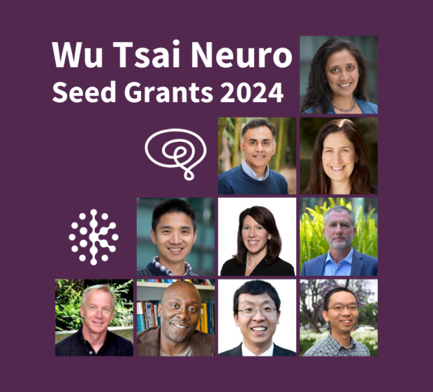 Wu Tsai Neuro Seed Grants 2024 graphic