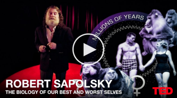 Dr. Robert Sapolsky TED presentation