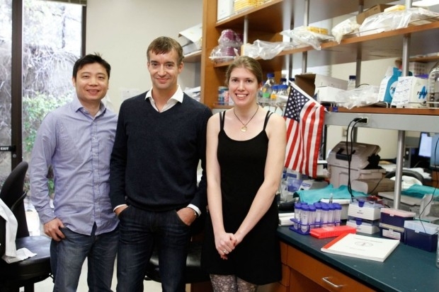 Dong Wang, Gregory Scherrer and Elizabeth Sypek are co-authors of a study that found that two side effects of opioids — growing tolerance to the drugs and increased sensitivity to pain — may be specifically caused by the drugs’ effect on peripheral pain neurons in the body, not those in the spinal cord or brain. Paul Sakuma