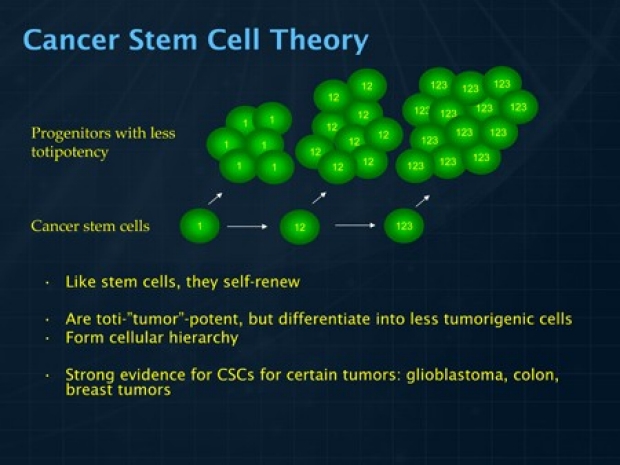Wong Lab Research Cancer Stem Cell Theory