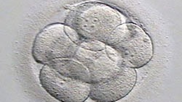 Researchers find way to predict IVF pregnancy