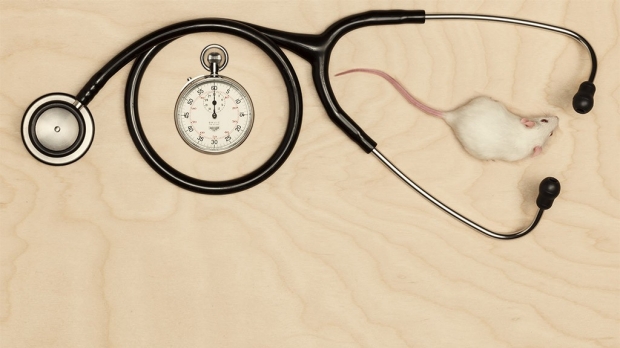 Stanford Medicine magazine reports on intersection of time, health