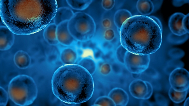 Researchers get stem cell grants