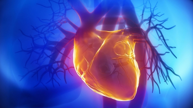 Molecular cause of heart condition identified by researchers
