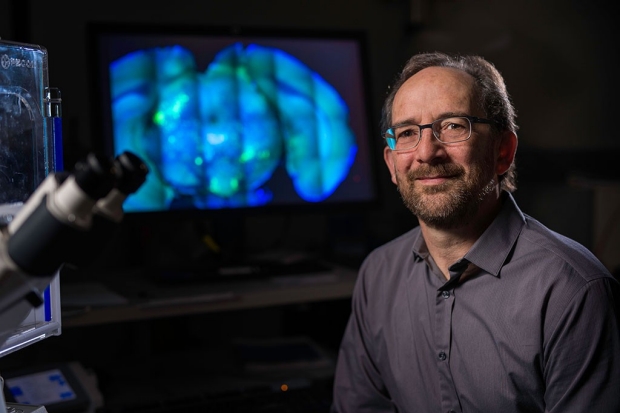 Hombre sentado cerca de un microscopio con imágenes azules de un cerebro en una pantalla detrás de él