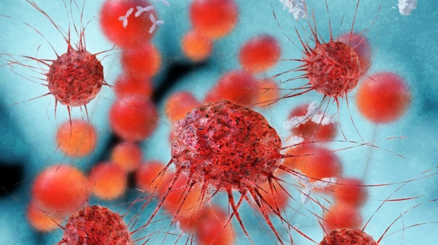 Grants awarded for cancer immunotherapy