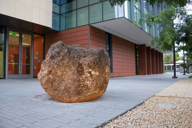 Boulder in the plaza in front of the Stanford Asian Liver Center