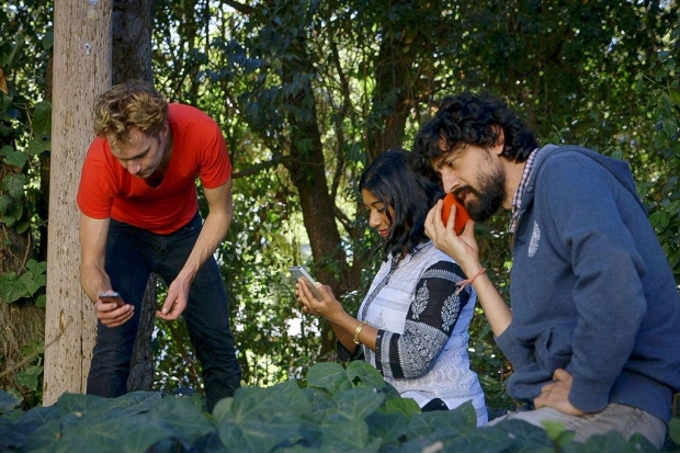 Two men and a woman in a jungle, recording sounds with cellphones