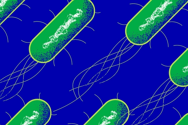 Illustration of bacteria