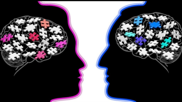 Hard-wired male/female brain differences