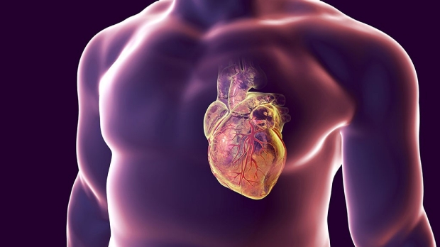 Heart defects boost heart disease risk