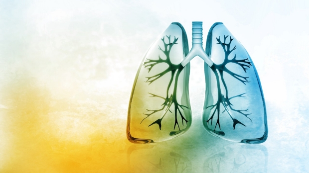 Potential treatment for lung fibrosis 