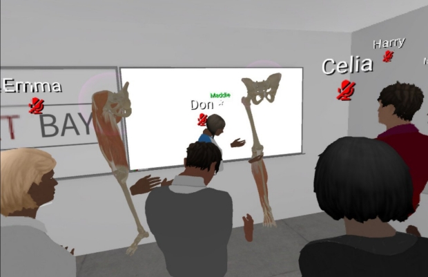 virtual reality anatomy class