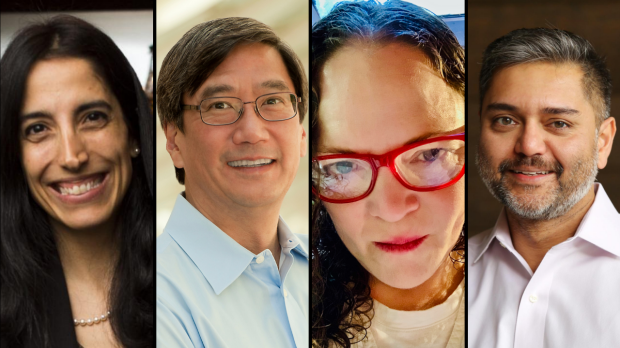 High-risk, high-reward grants awarded to four Stanford researchers