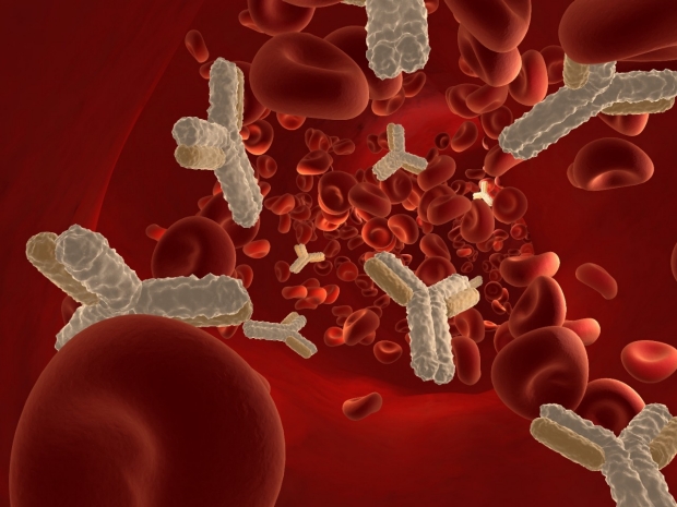 illustration of autoantibodies in blood