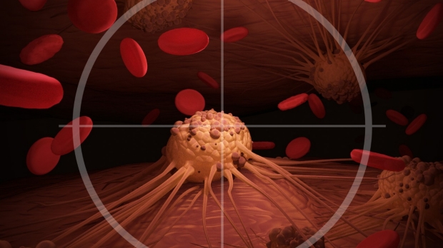 New immunotherapy targets tumors