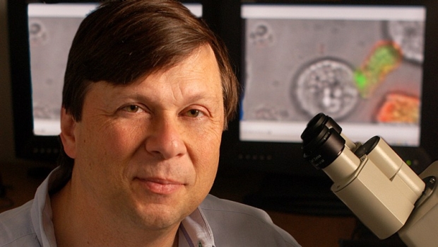 5 Questions: Mark Davis on why immunology research needs a more human focus