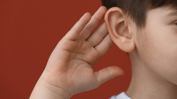 Brain wiring explains why autism hinders grasp of vocal emotion, says Stanford Medicine study 