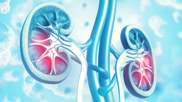 Screening everyone 35 and older for chronic kidney disease would save lives