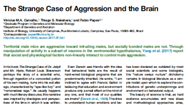 The Strange Case of Aggression and the Brain