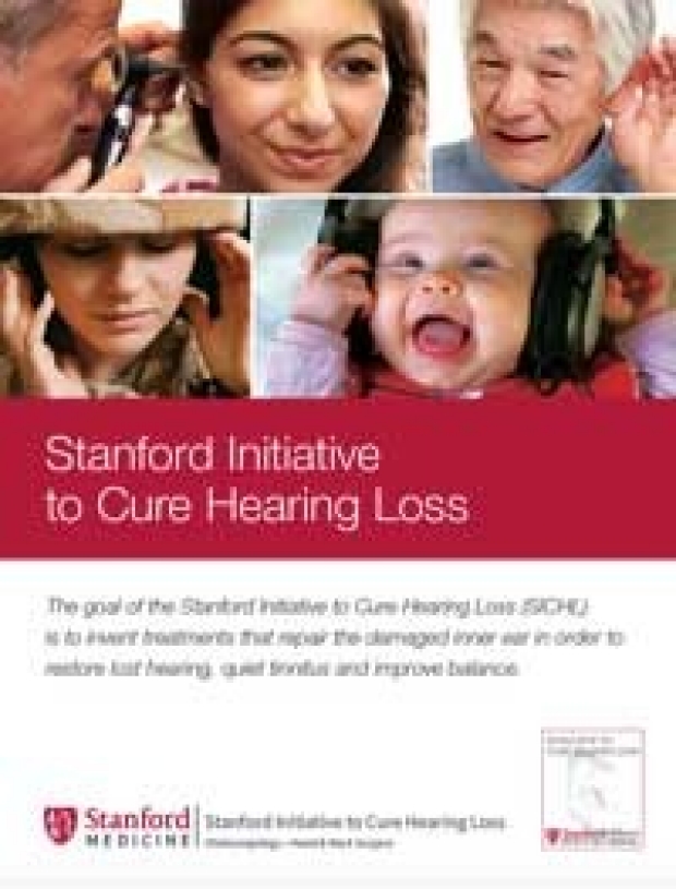 Stanford Medicine Initiative brochure cover