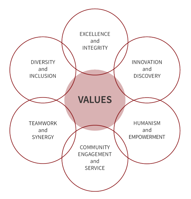 Graphic representing OHNS values